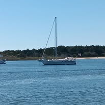 Belleauwood